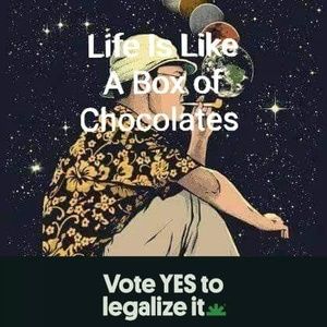 Meet your Posher, Benjamin